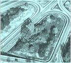 wicej